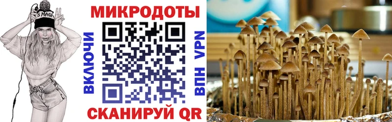 даркнет формула Гудермес Псилоцибиновые грибы мухоморы
