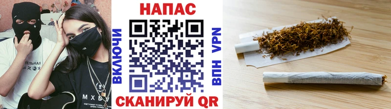 Каннабис планчик  купить наркотики сайты  Гудермес 